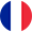 Icon for French language section.