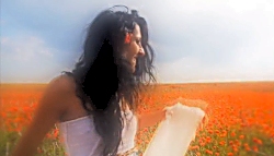 Still from 'Poppies of Bolero'.